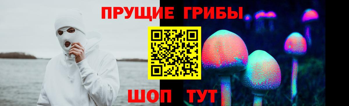 Галлюциногенные грибы Psilocybine cubensis Подольск